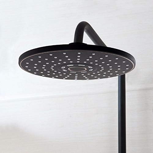 Bathroom Black Handheld shower Set