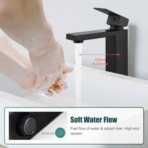 Matte Black 8-inch Bath shower with Adjustable Height Dual Function